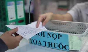 Thói quen uống thuốc 'theo lô' tàn phá gan thận