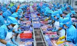 Việt Nam xuất khẩu loại thủy sản nào nhiều nhất?